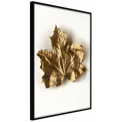  Poster - Dried Maple Leaf 30x45