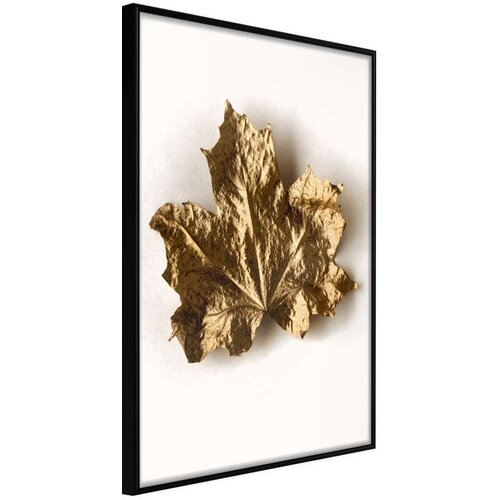  Poster - Dried Maple Leaf 30x45 Slike