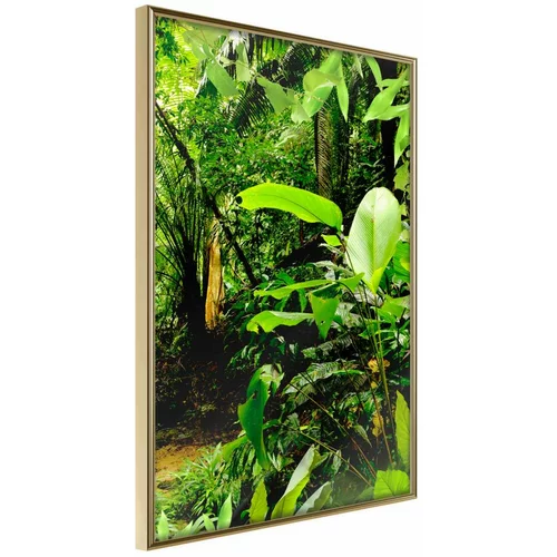  Poster - In the Rainforest 30x45