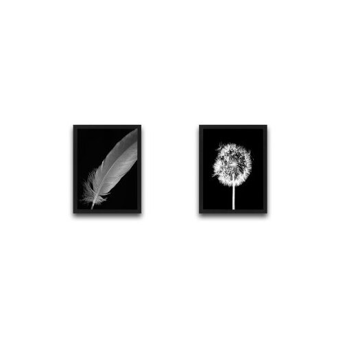 WALLXPERT Dekorativna slika u okviru (2 komada) Dandelion Feather Set Cene