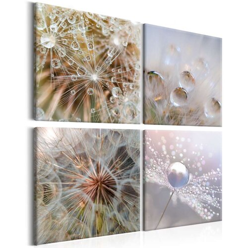  Slika - Morning Glow 80x80 Slike