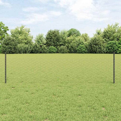  Heksagonalna ograda s stubom 10 x 0,5 m Čelik premazan PVC-om Cijene