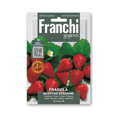 FRANCHI SEMENTI Jagode &amp;quot;Quattro Stagioni&amp;quot; Slike