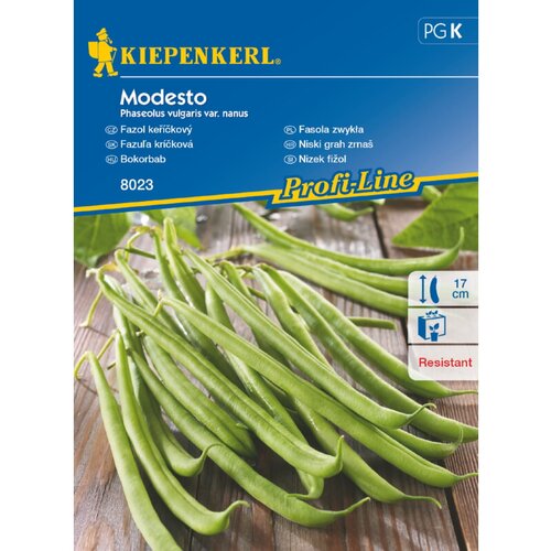 KIEPENKERL Sjeme povrća grah Modesto (Phaseolus vulgaris, Vrijeme sjetve: Svibanj, Berba: Kolovoz) Slike