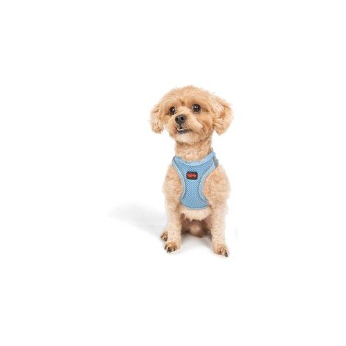 Paws &amp;amp; Whiskers Am za pse Air Mesh Blue 3XS Slike
