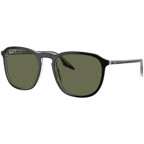 Ray-ban RB2203 919/58 Polarized - L (55) Cijene