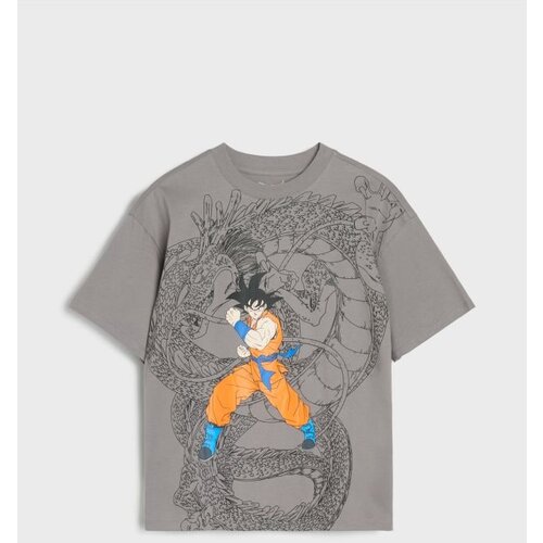 Sinsay Majica kratkih rukava DragonBall Cijene