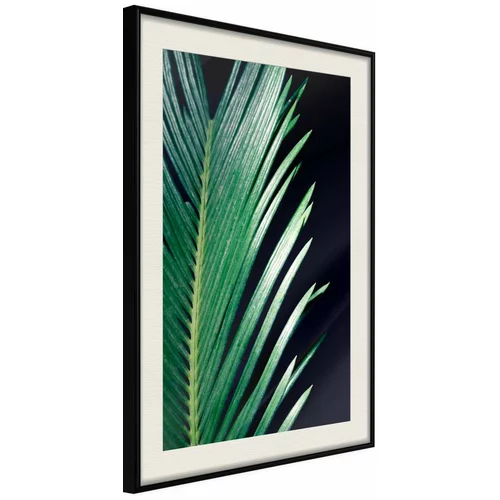  Poster - Soothing Green 20x30