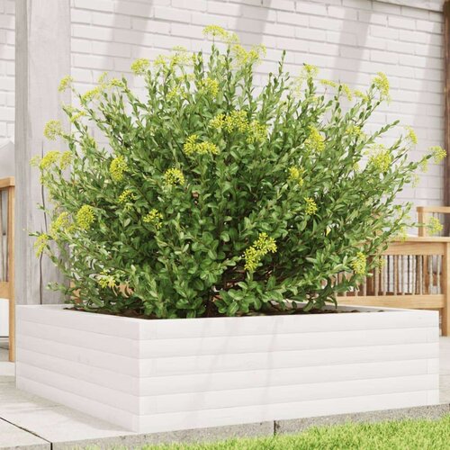  Vrtna sadilica bijela 80 x 80 x 23 cm od masivne borovine Slike