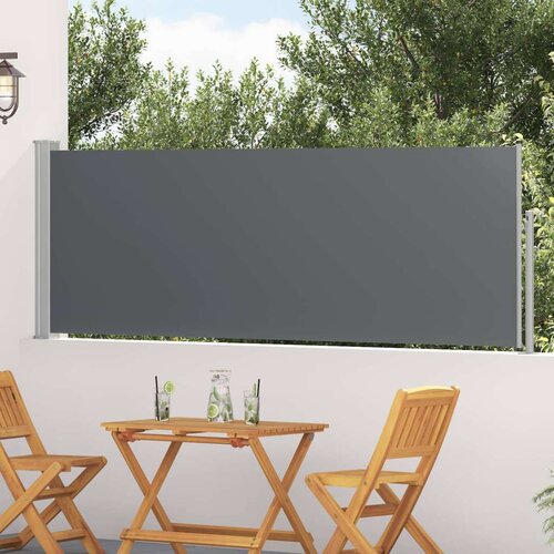  Retraktabilna bočna tende Antracit 300 x 100 cm Poliester - Antracit 100 x 300 cm Cijene