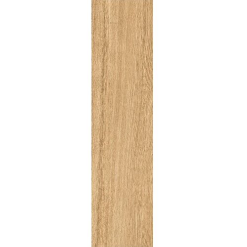 RAGNO escape miele 12,5x50 Slike