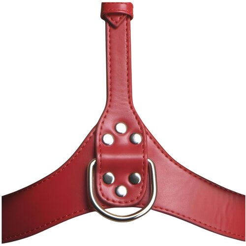 Strict Body Harness z ovratnikom (rdeča) - M/L Slike