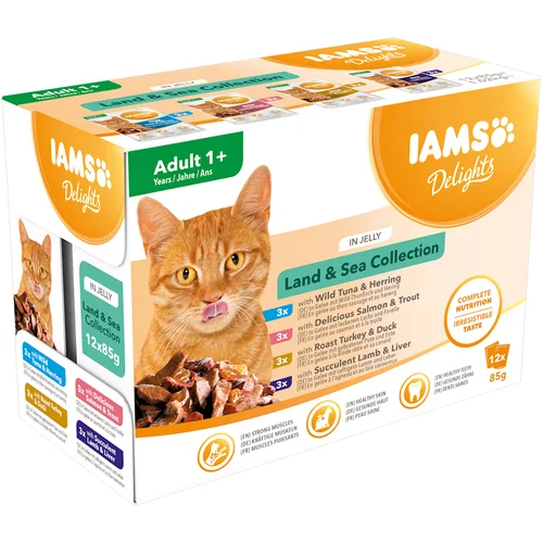 IAMS Delights Adult u želeu 12 x 85 g - Land & Sea Mix