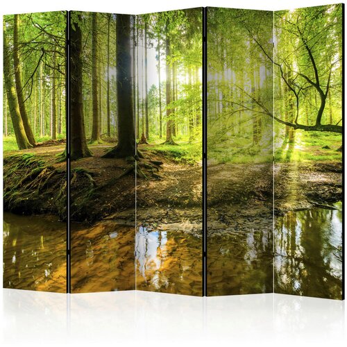 Artgeist PARAVAN 225/172/3 cm rjava, zelena Cene