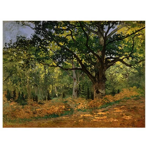 Fedkolor Reprodukcija slike Claude Monet - The Bodmer Oak, Fontainebleau Forest, 70 x 50 cm