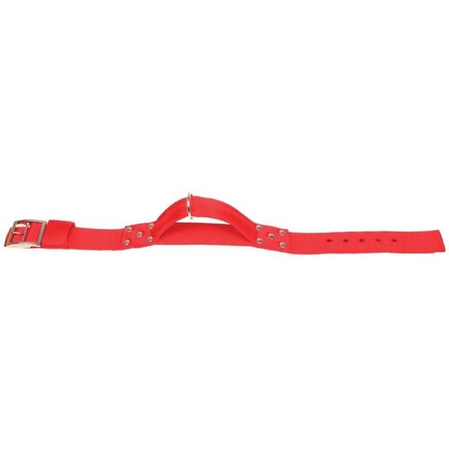 Zolux 463683R Najlon Ogrlica Sa Kopčom 75cm Crvena Slike