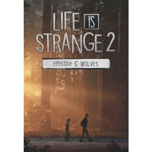 Steam Life is Strange 2 - Episode 5 (DLC) Key EUROPE Cene