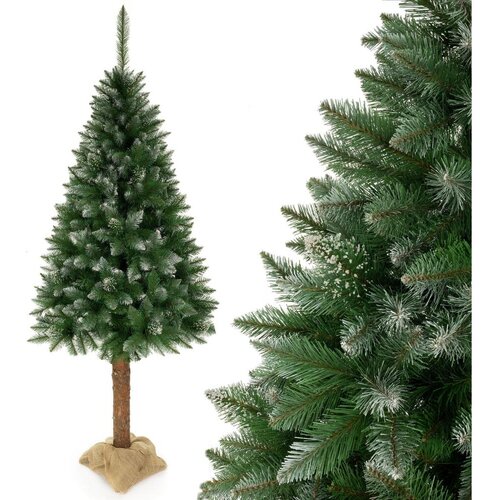  Božićna jelka 220 cm, smreka Slike