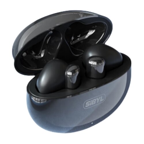 Sibyl Brezžične slušalke TM-79 13MM 35H type-C Bluetooth5.3 IPX5, (21217826) Cene