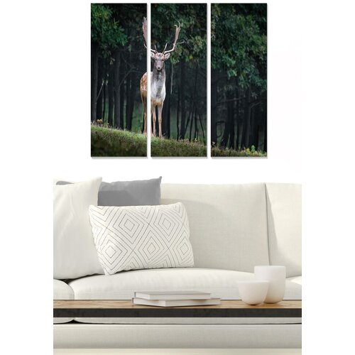 Wallity Set slika MDF984573, 3 dijela Cene