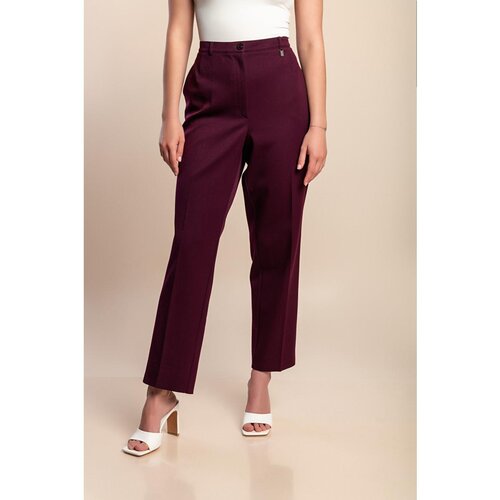 Fenzy Plus Size Hlače, Vijola Cene