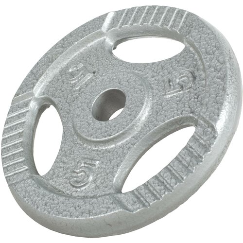 Gorilla Sports disk 5kg 30mm sivi Slike