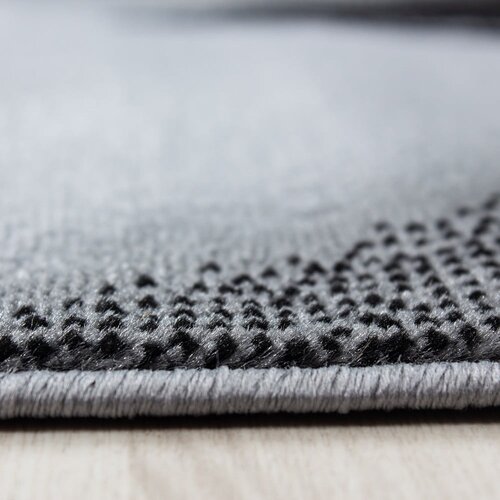 Ayyildiz Carpets Temno siv tekač 80x300 cm Plus &amp;ndash; Slike