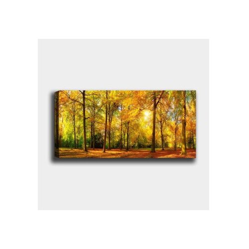 Wallity Slika za zid YTY812718_50120, 50x120 cm Slike