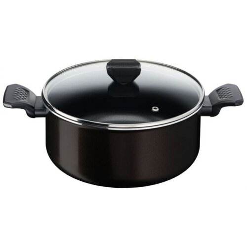 Tefal Simply Clean lonac s poklopcem 24 Cene