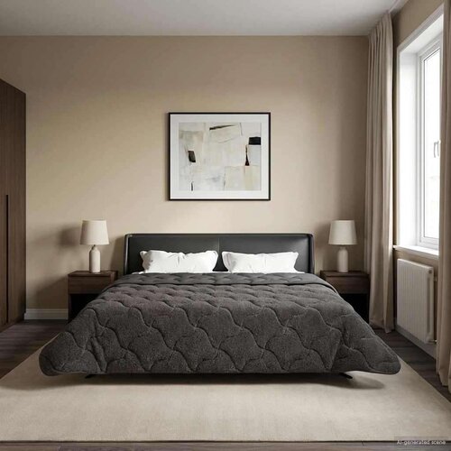  Poletna odeja Antracit 200 x 240 cm Mikrofibra in Teddy flis, (5000284302) Cene