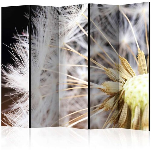  Paravan u 5 dijelova - Fluffy dandelion II [Room Dividers] 225x172 Slike