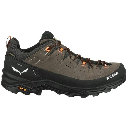 Salewa Pohodništvo Alp Trainer 2 Gtx pisana Cene