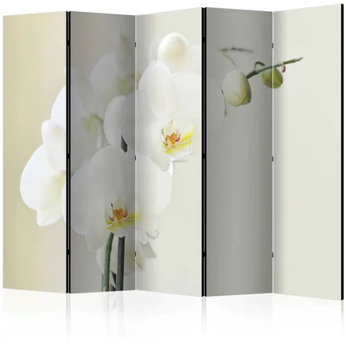  Paravan u 5 dijelova - White orchid II [Room Dividers] 225x172