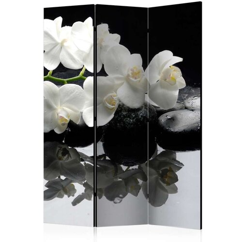 Paravan u 3 dijela - Spa Stones and Orchid [Room Dividers] 135x172 Cijene