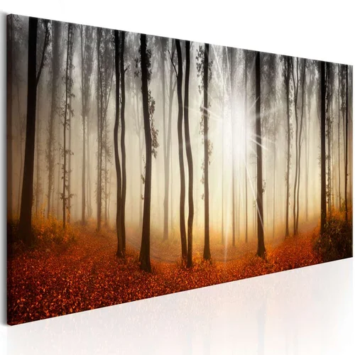  Slika - Autumnal Fog 150x50