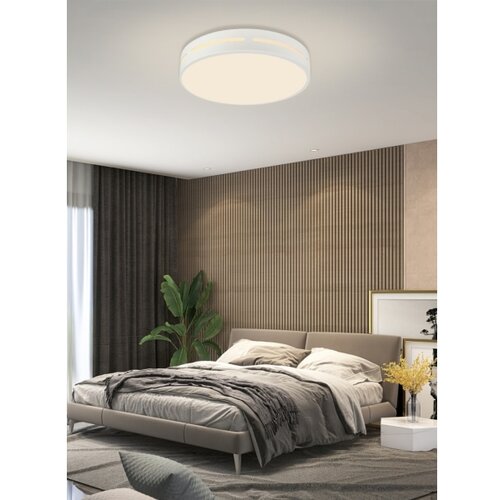  Immax NEO 07153-W40 - LED prigu&amp;scaron;iva svetiljka PERFECTO 24W/230V Wi-Fi Tuya + daljinski upravljač Slike