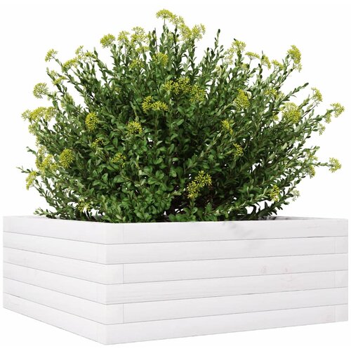  Vrtna sadilica bijela 60x60x23 cm od masivne borovine Slike