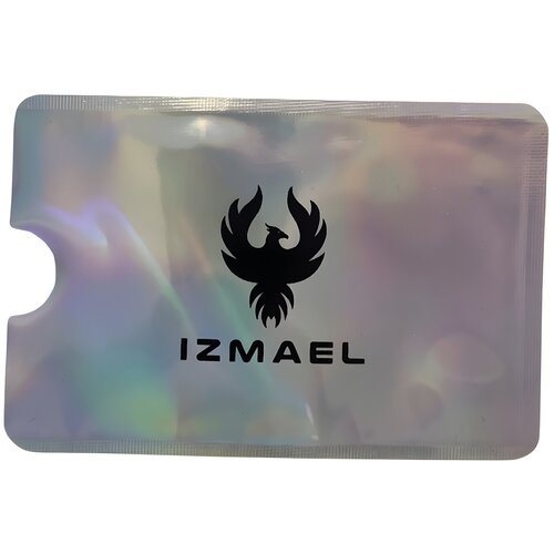 IZMAEL Za&scaron;čitna torbica za RFID kartico - Srebrna Cene