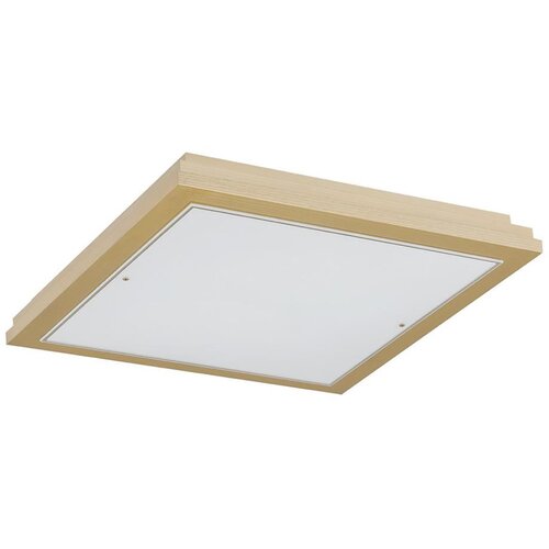  argon 7146 - plafonsko svetlo caserta 2xE27/15W/230V 32x32 cm Cene