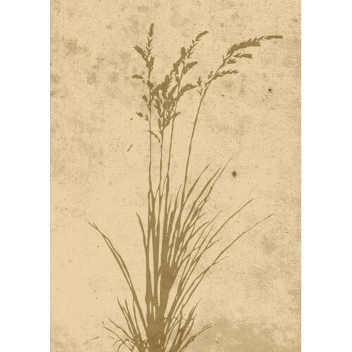 Venture Home poster Plant Art 50 × 70 cm, bež Cene