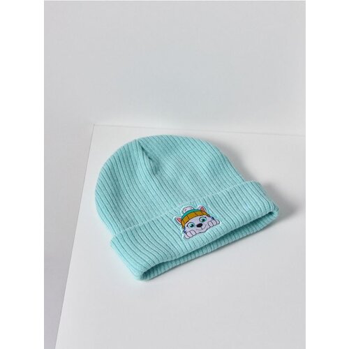 Sinsay Kapa beanie Paw Patrol Cijene