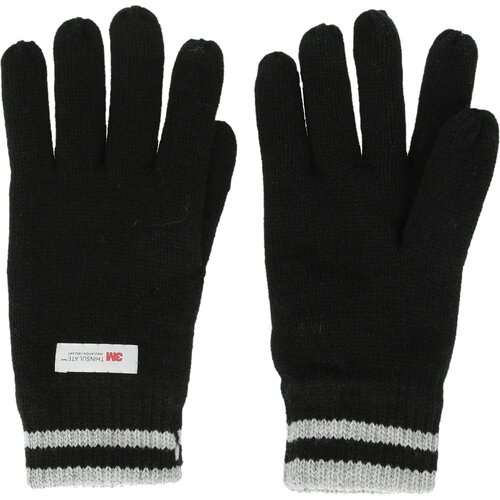Whistler Men's gloves Hancok M Thinsulate Cijene