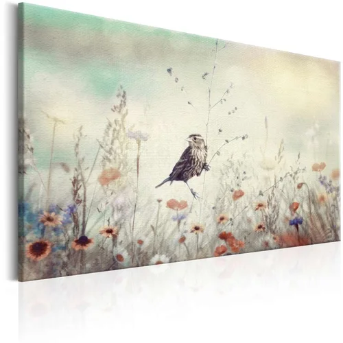  Slika - Wild Meadow 60x40