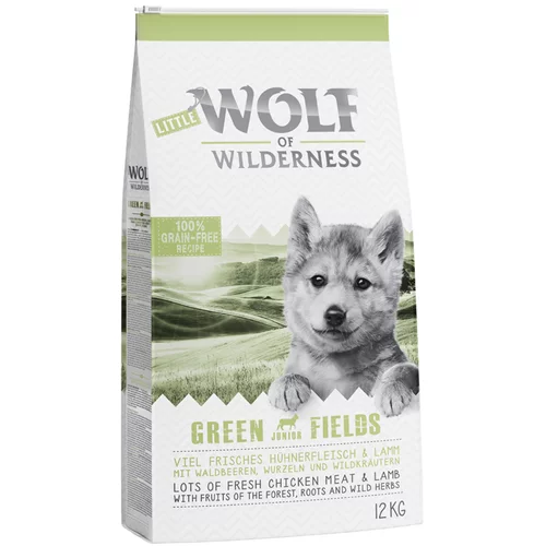 Wolf of Wilderness Varčno pakiranje: 2 x 12 kg - Junior - Green Fields - Jagnjetina