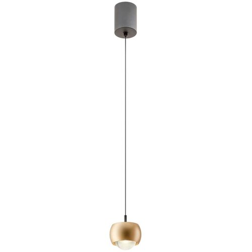  Redo 01-3547 - LED luster na sajli AVES LED/12W/230V, prečnik 9,6 cm, CRI 90, zlatna Cene