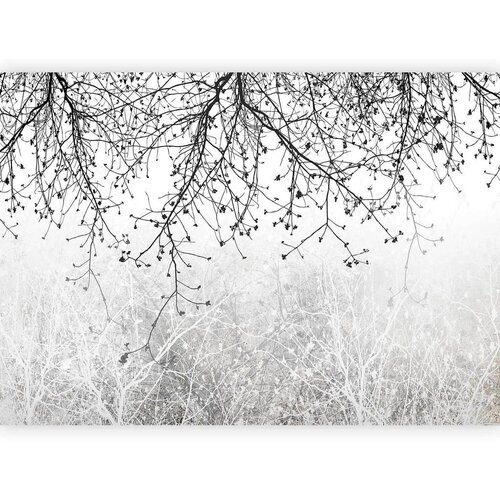 Artgeist Fototapeta Natural Brightness, 300x210cm Cene