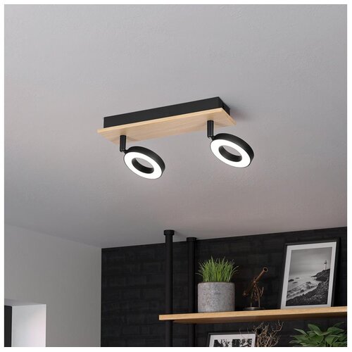 Eglo 901203 - LED spot RIELVES 2xLED/4,2W/230V crna/smeđa Cene