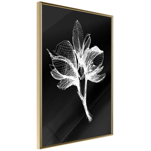  Poster - White Plant 20x30 Slike