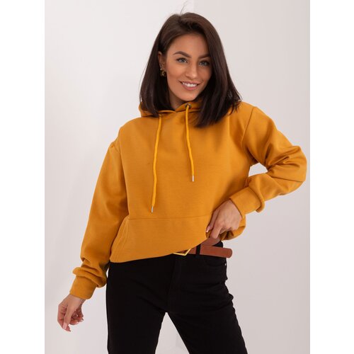 Factory Price Sweatshirt-HP-BL-0103.07-dark yellow Cijene