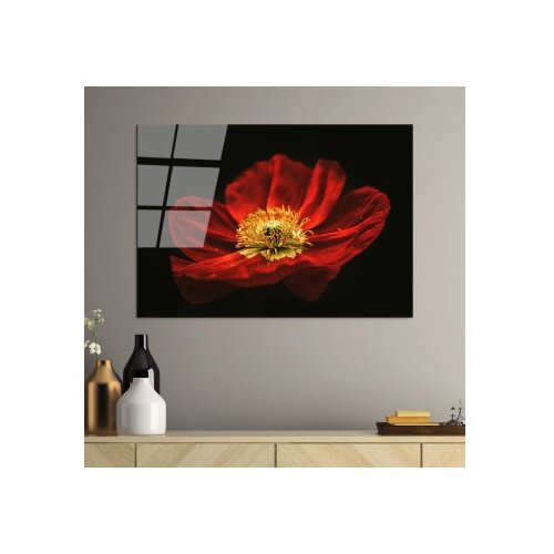 WALLXPERT dekorativna slika od kaljenog stakla cvetan cvet crvenog maka (uv 204) 70 x 100cm Cene